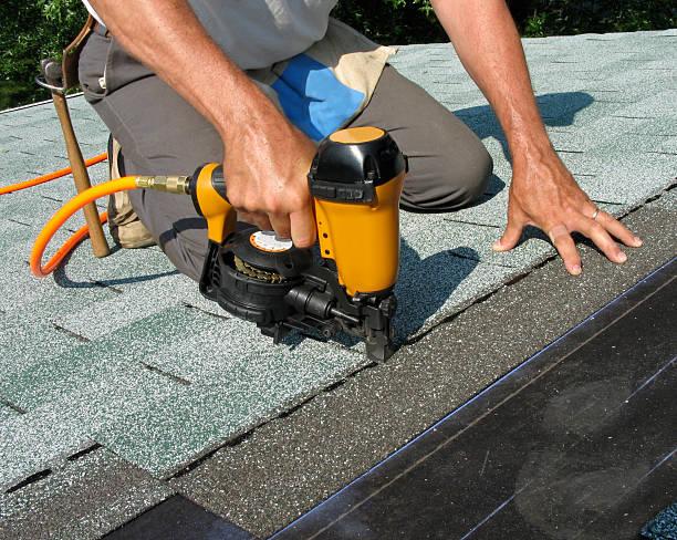 Best Roof Gutter Cleaning  in Ithaca, MI