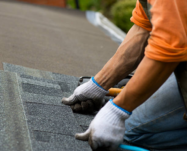 Best Roof Waterproofing Services  in Ithaca, MI
