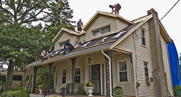 Best Local Roofing Companies  in Ithaca, MI
