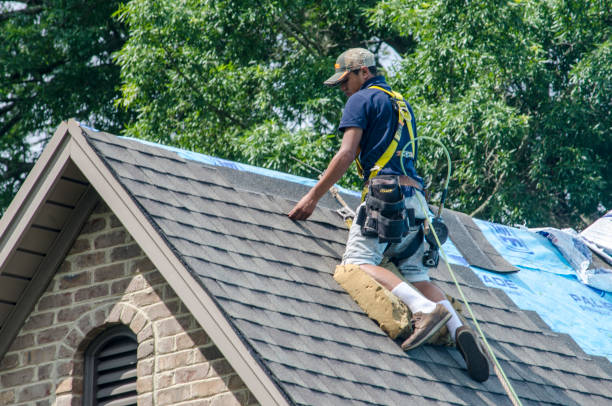 Best Roof Installation Near Me  in Ithaca, MI